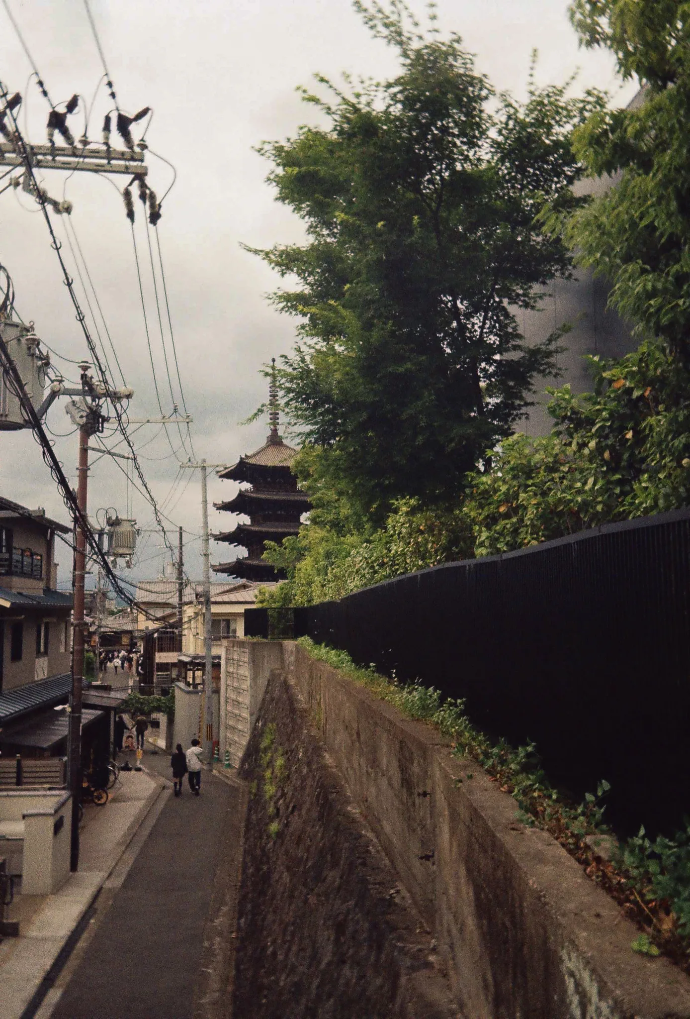 Japan on Film 2025 — photo 19